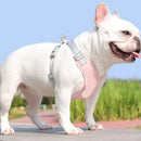 Kit Coleira Peitoral & Guia Pet