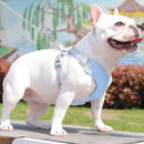 Kit Coleira Peitoral & Guia Pet